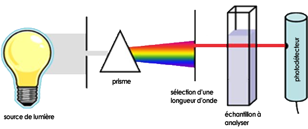 principe de la spectrophotométrie